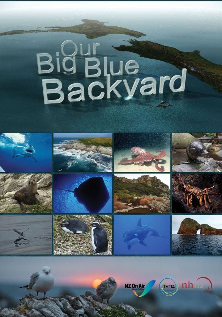 Our Big Blue Backyard poster