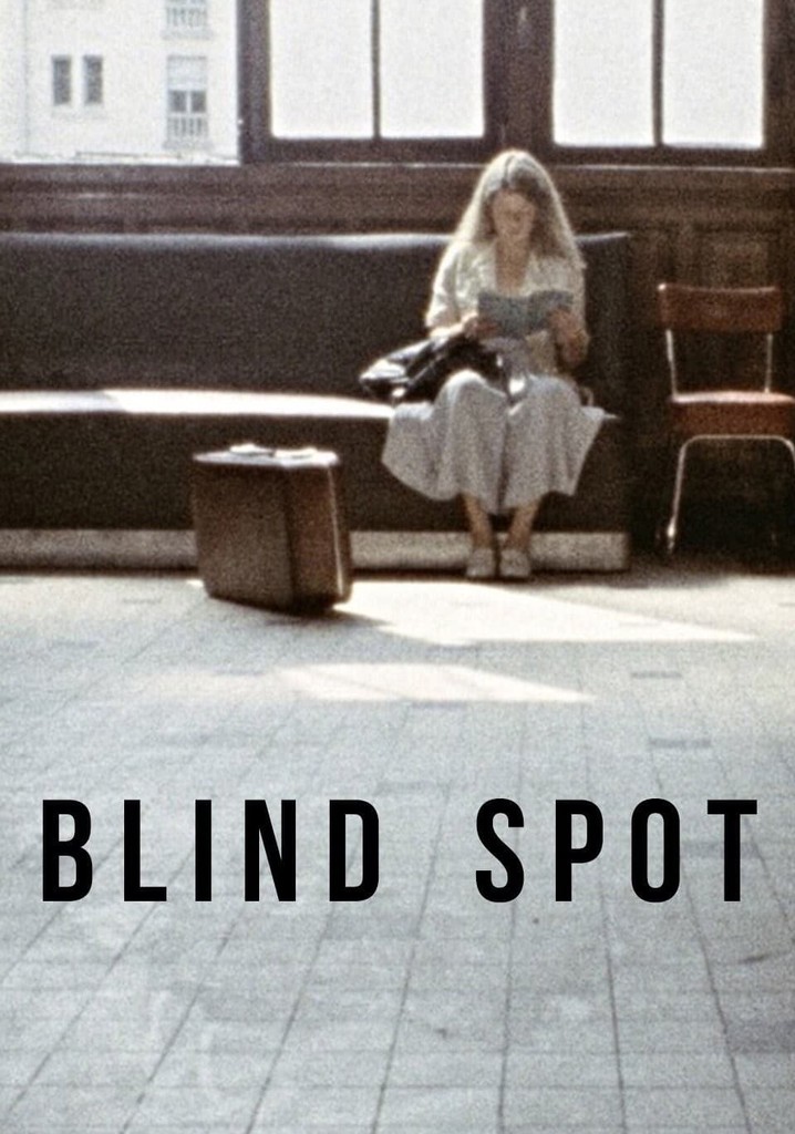 Blind Spot poster