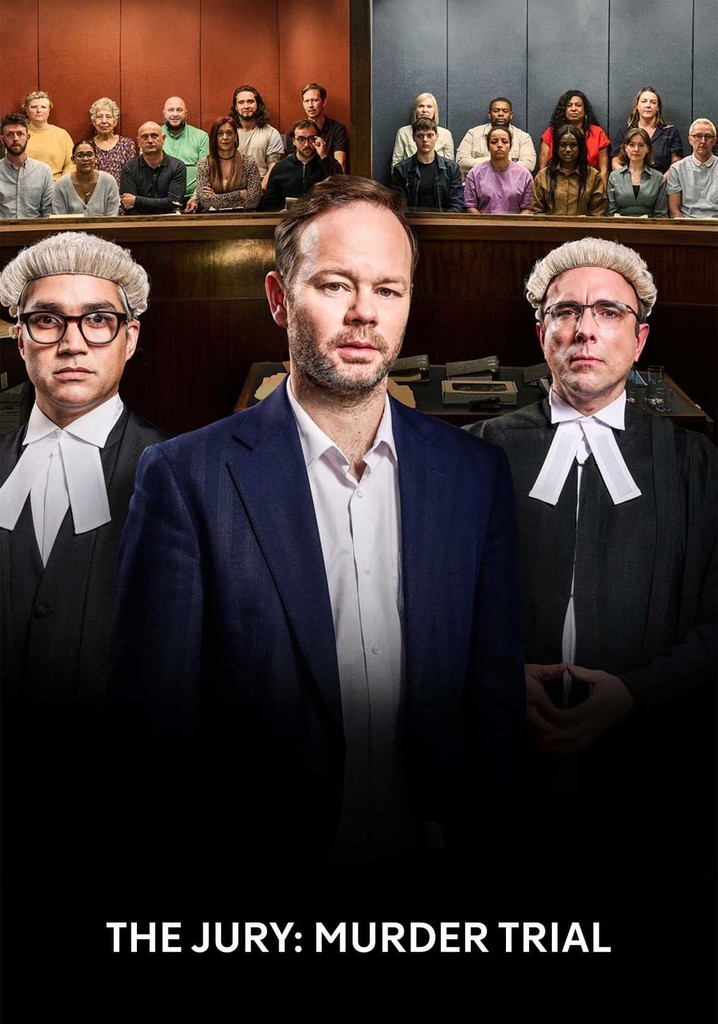 The Jury: Murder Trial poster
