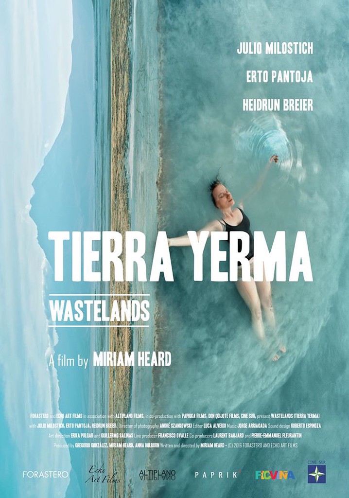 Wastelands poster