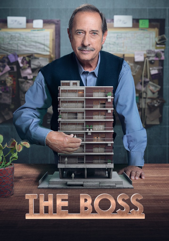 The Boss poster
