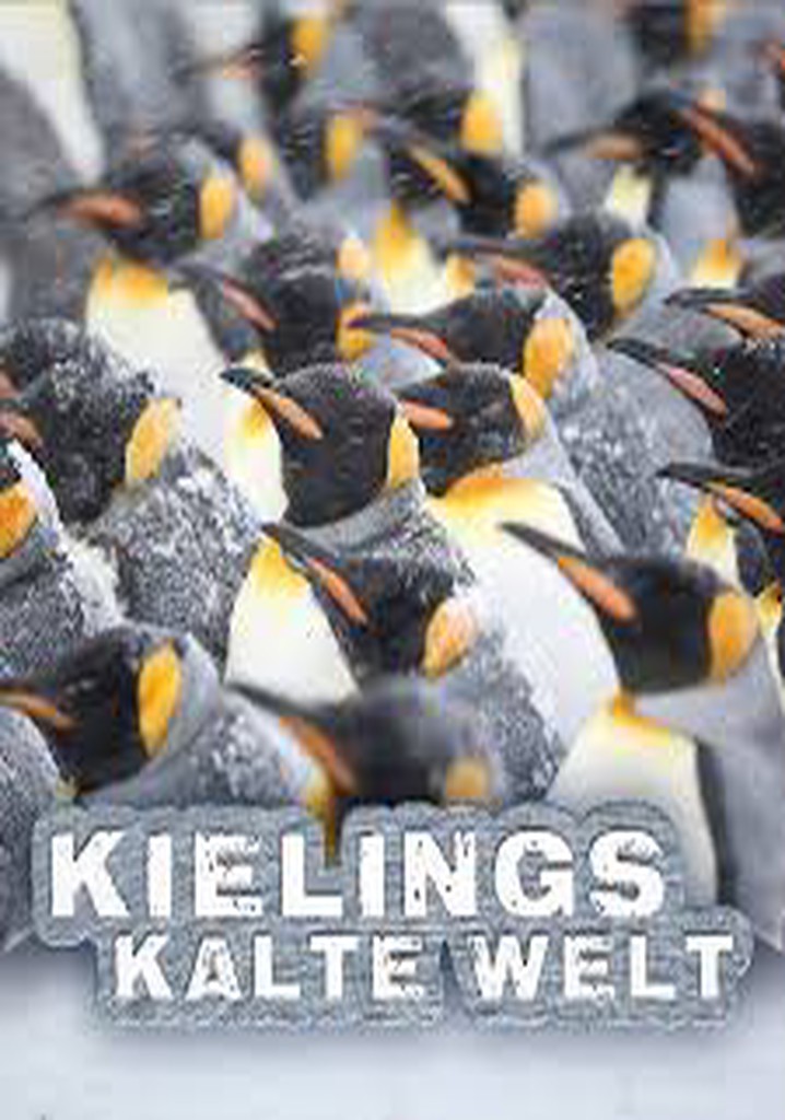 Kielings kalte Welt poster
