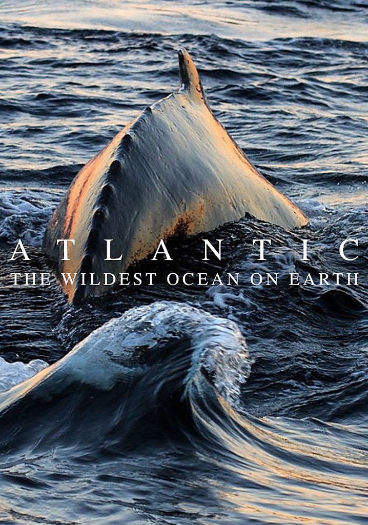 Atlantic: The Wildest Ocean on Earth poster