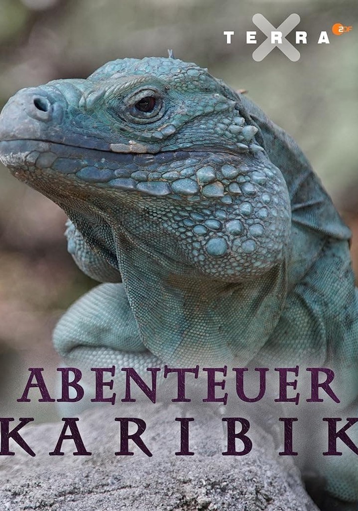 Abenteuer Karibik poster