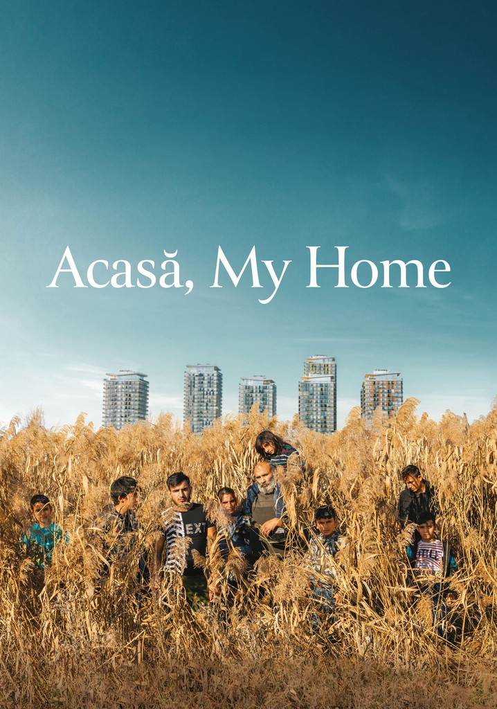 Acasă, My Home poster