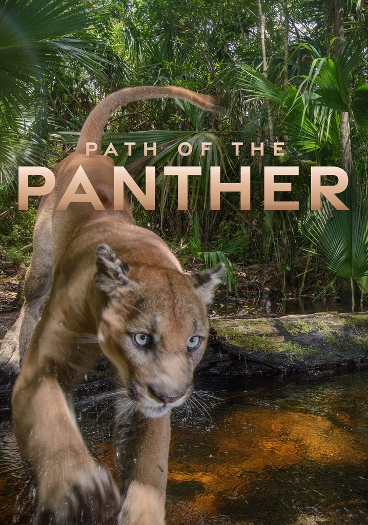 Path of the Panther poster