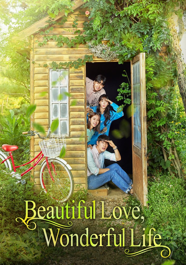 Beautiful Love, Wonderful Life poster
