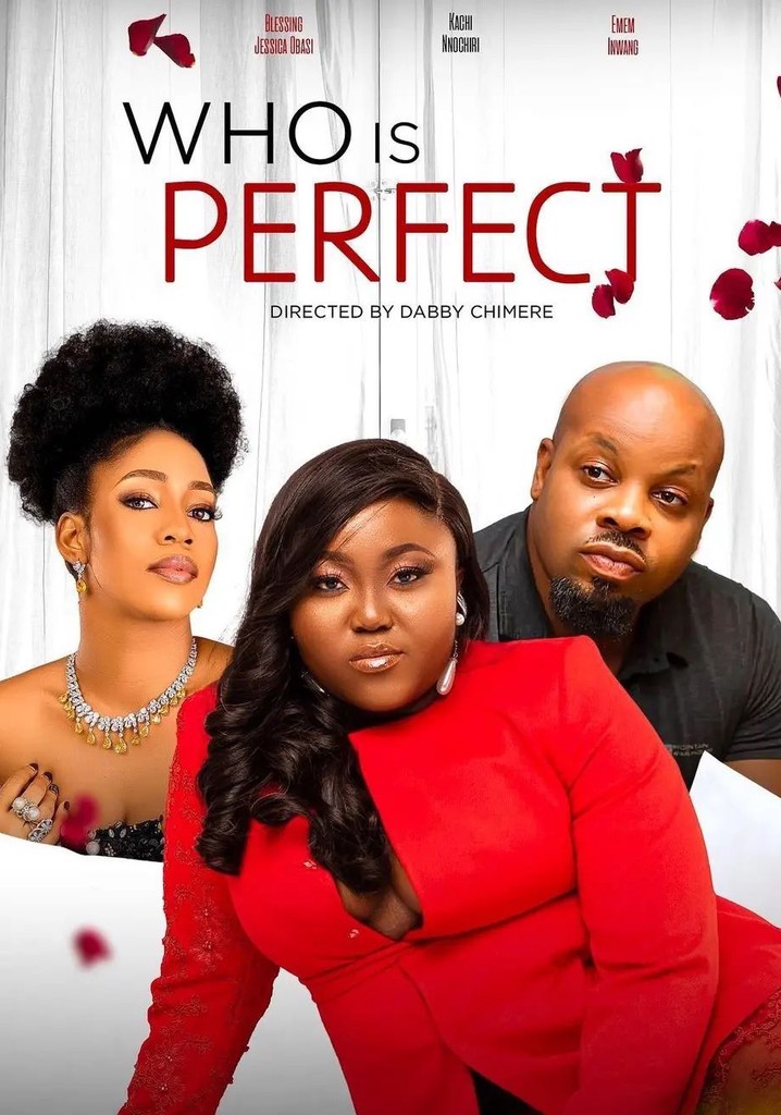 Who Is Perfect poster