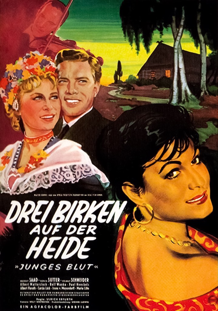 Drei Birken auf der Heide poster