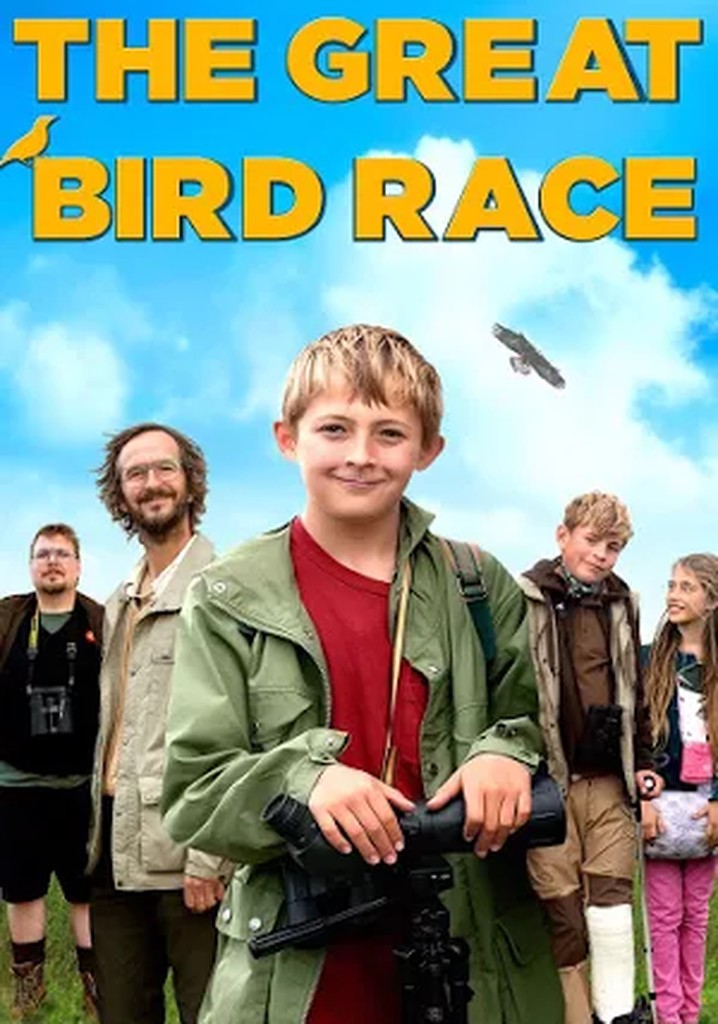 The Great Bird Race poster