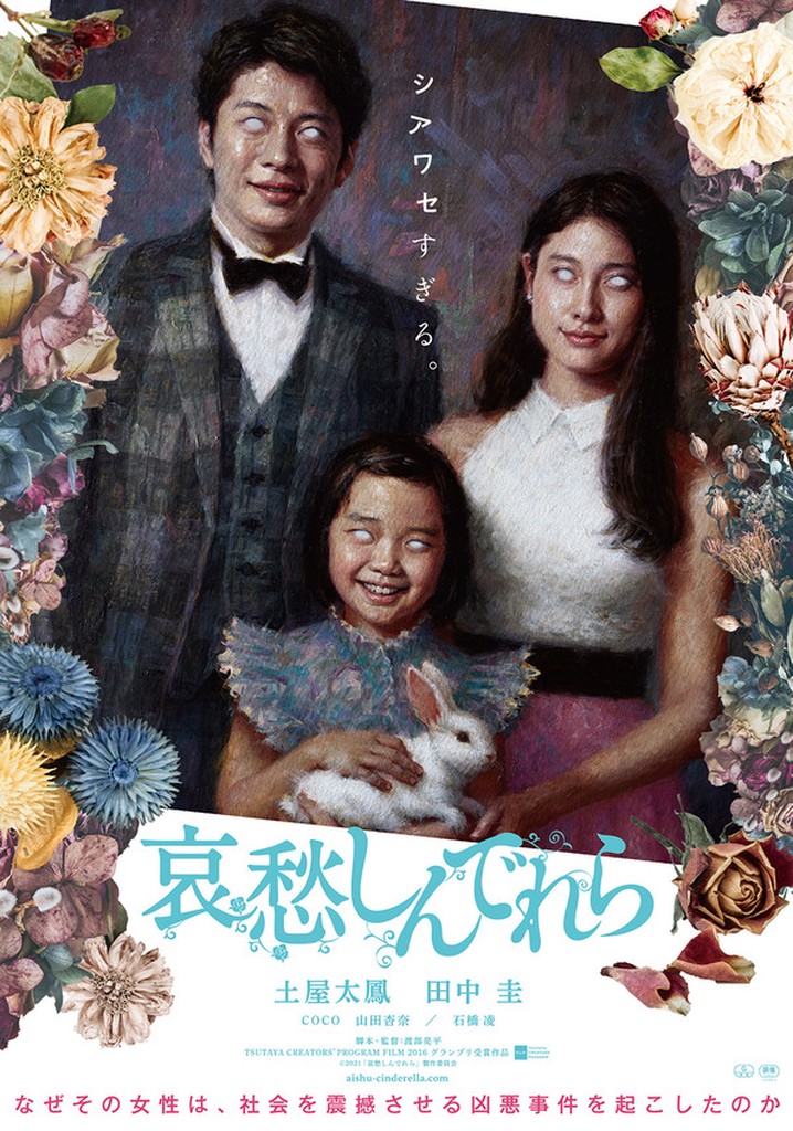 The Cinderella Addiction poster