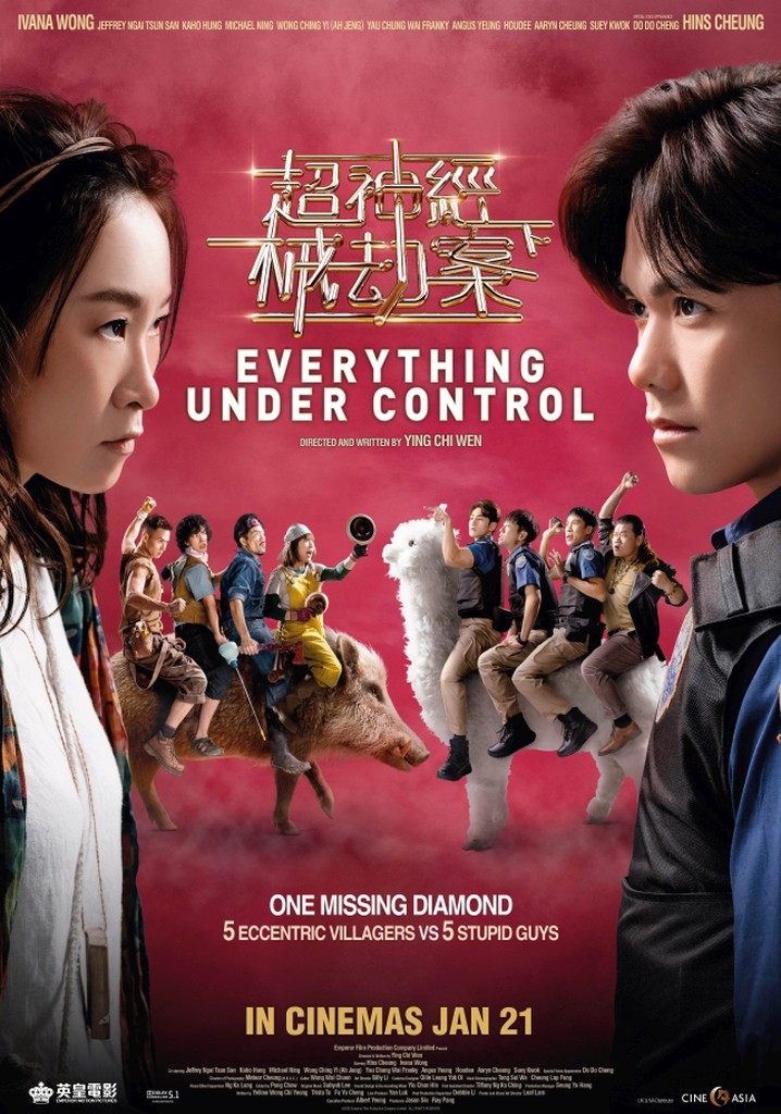 Everything Under Control poster