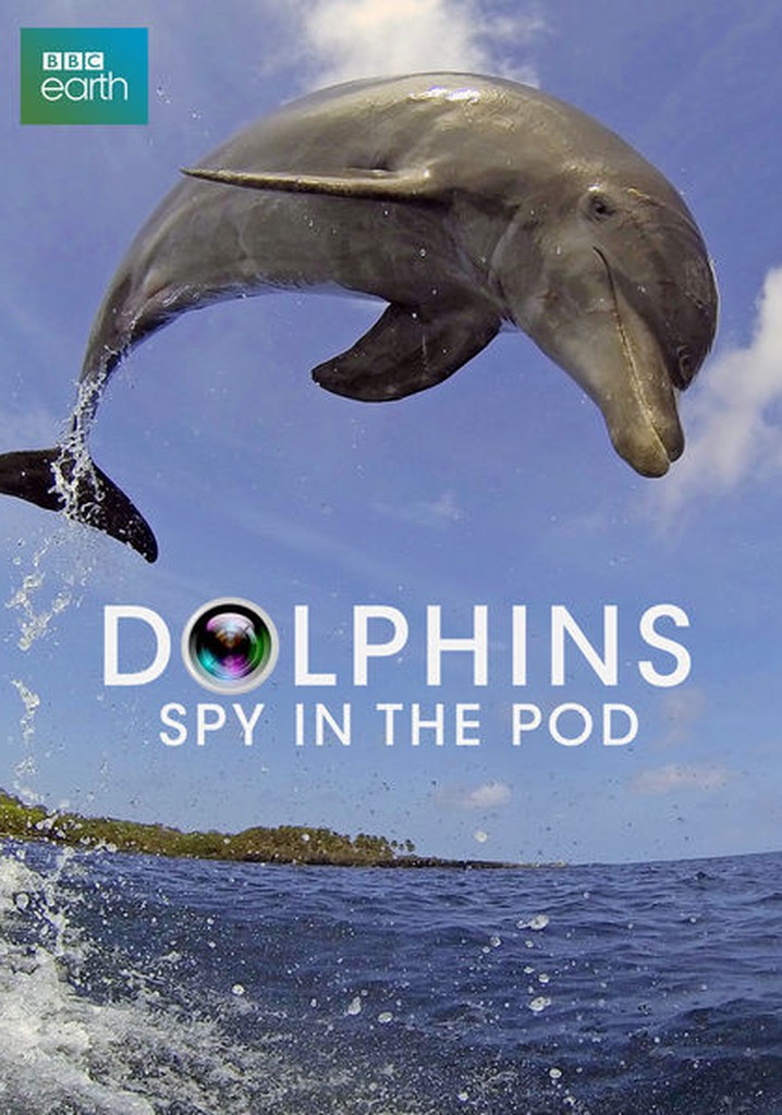 Dolphins: Spy in the Pod poster