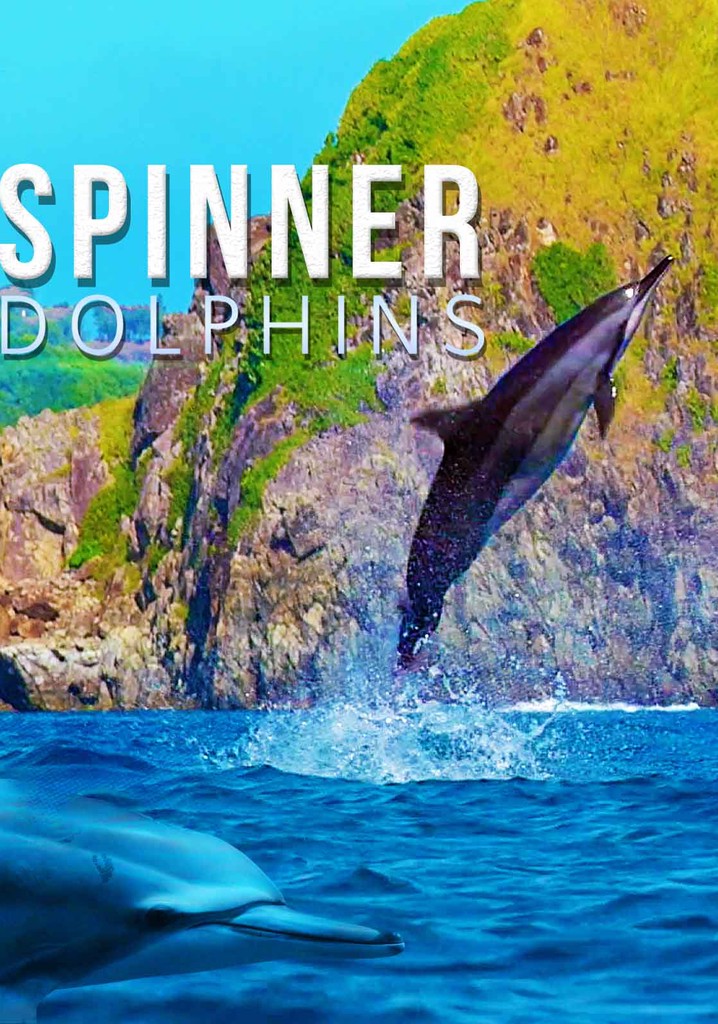 Spinner Dolphins poster