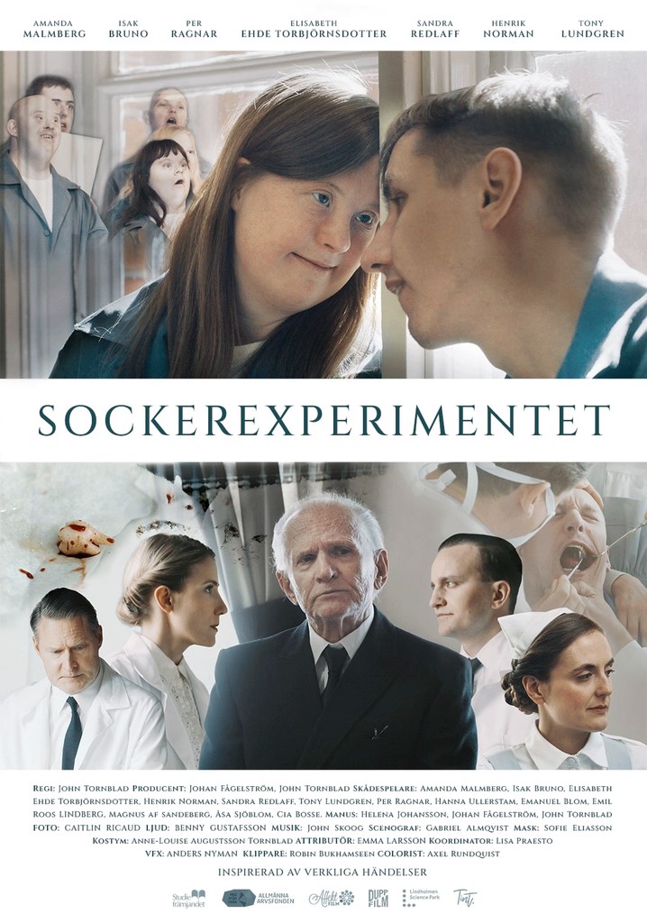 Sockerexperimentet poster