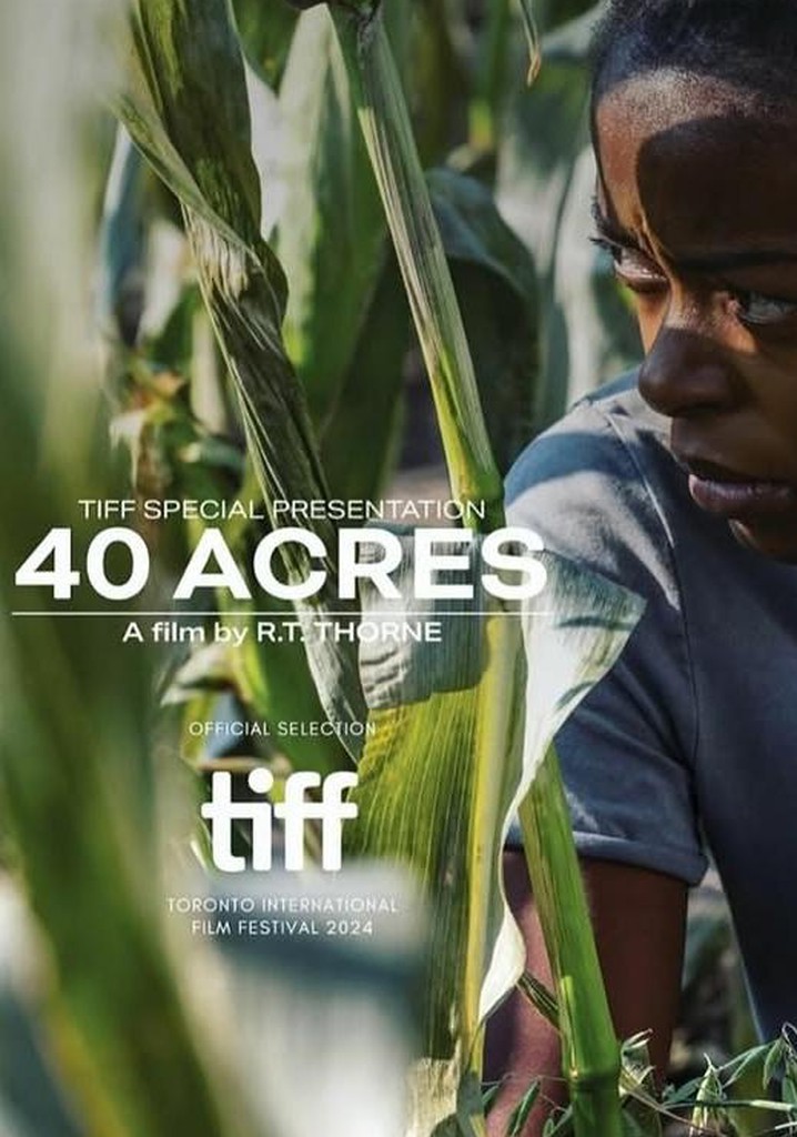 40 Acres poster
