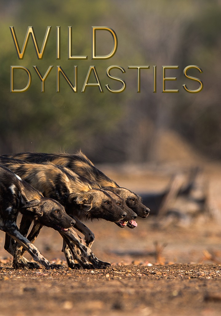Wild Dynasties poster