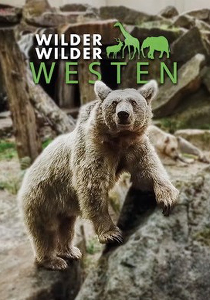 Wilder Wilder Westen poster