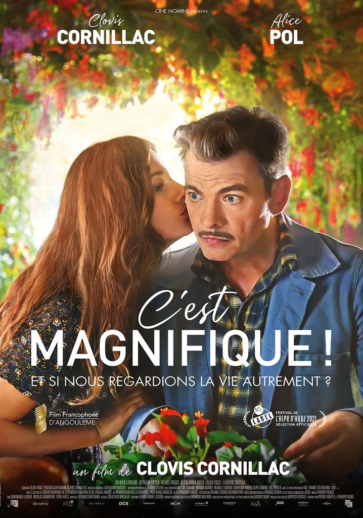 C'est magnifique ! poster