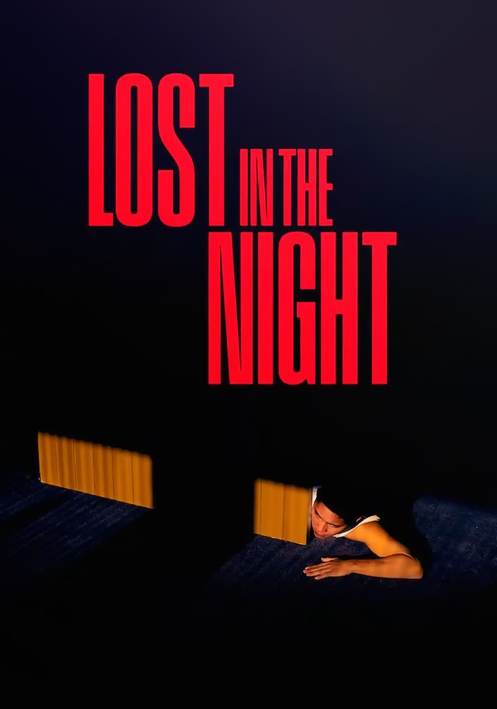 Lost in the Night poster