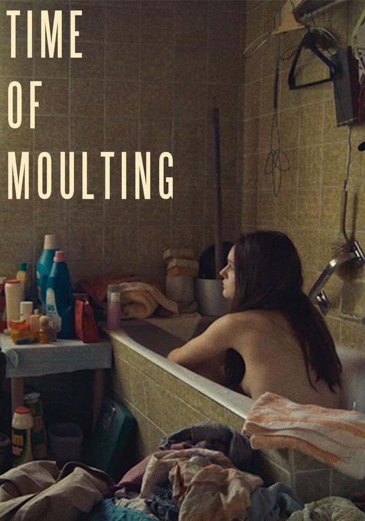 Time of Moulting poster