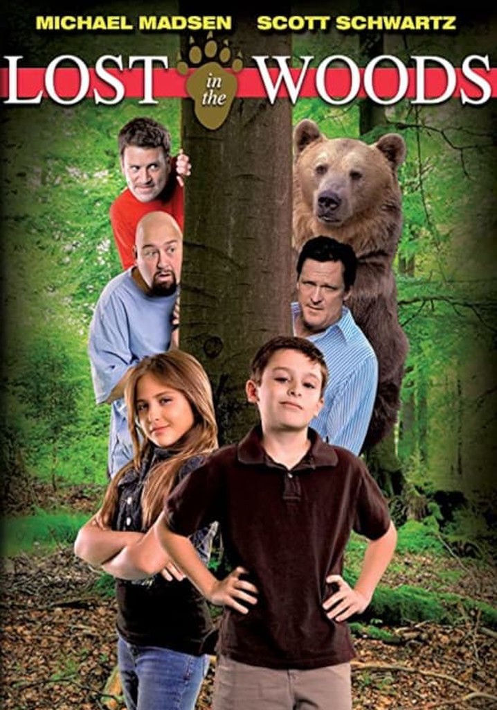 Lost in the Woods poster