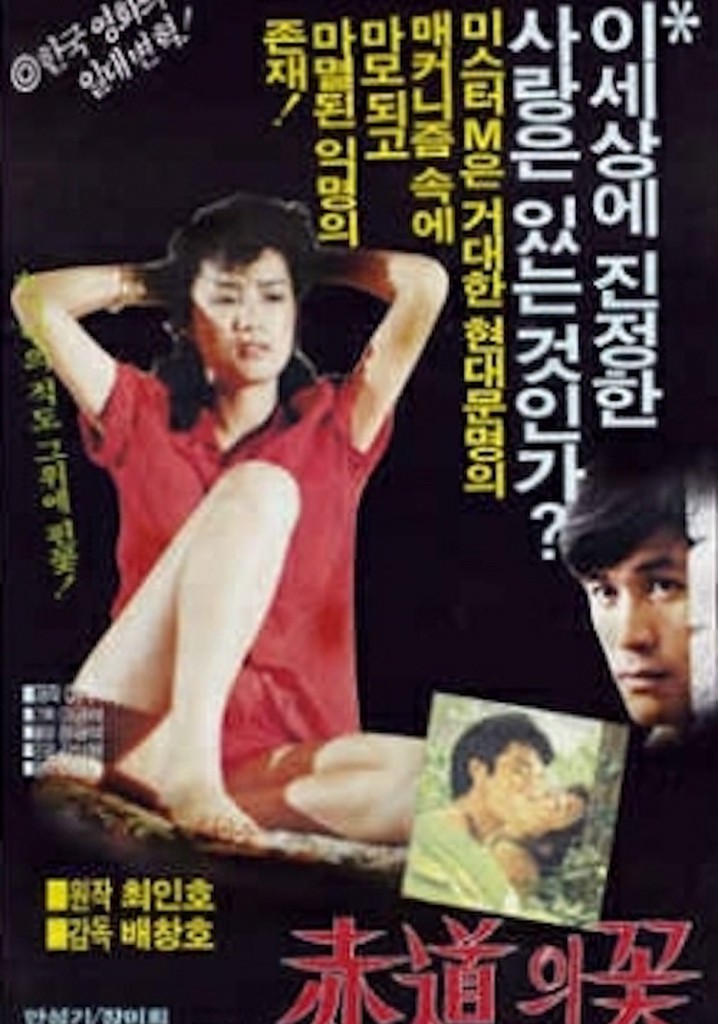 The Flower at the Equator poster
