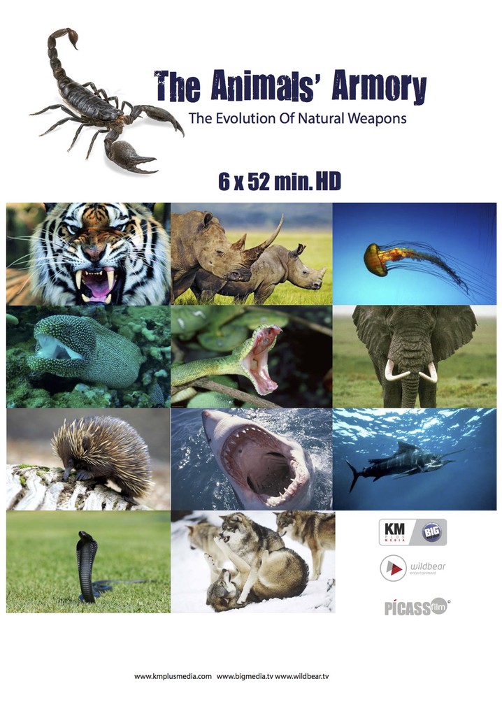Animal's Armory poster