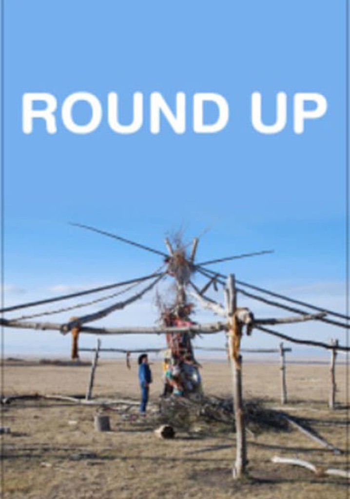 Round Up poster