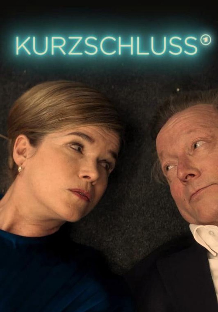 Kurzschluss poster