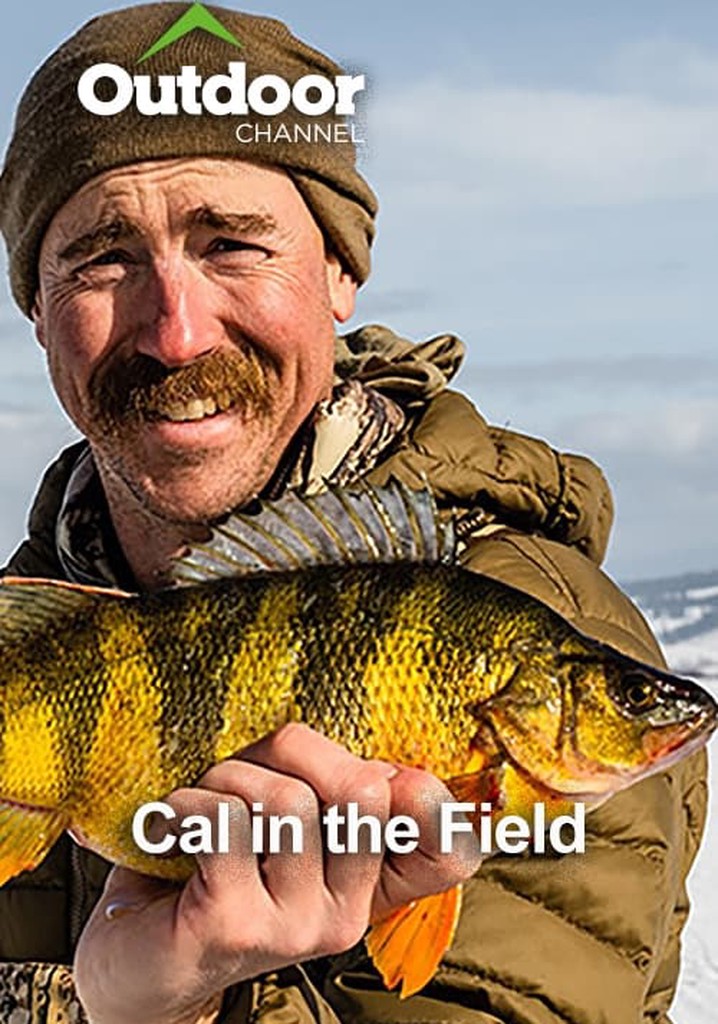 Cal in the Field poster