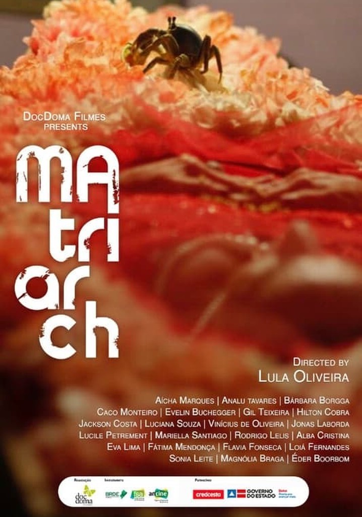 A Matriarca poster