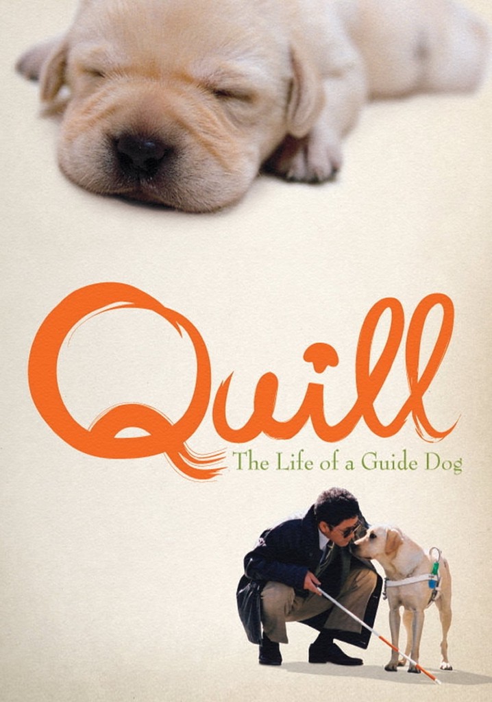 Quill: The Life of a Guide Dog poster