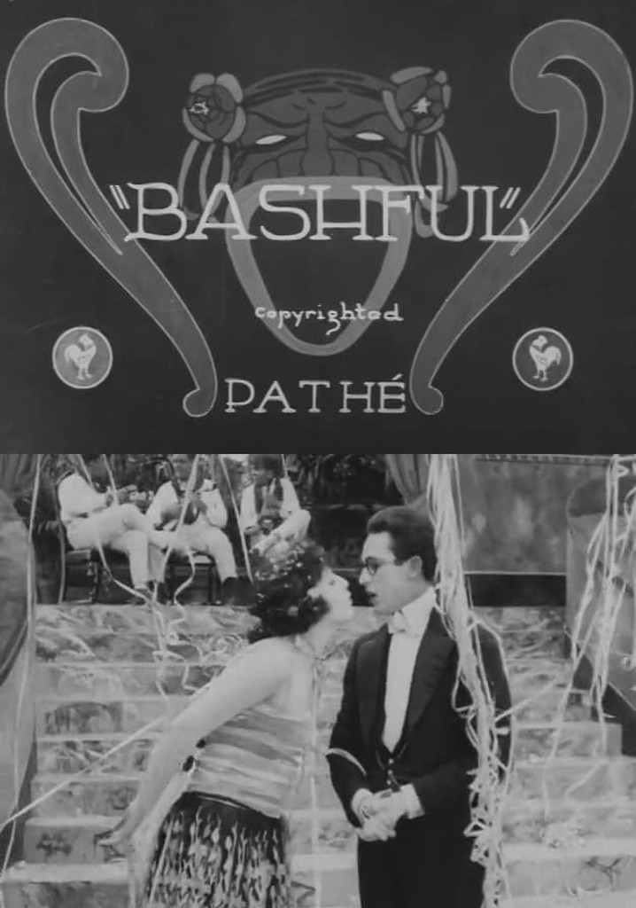 Bashful poster