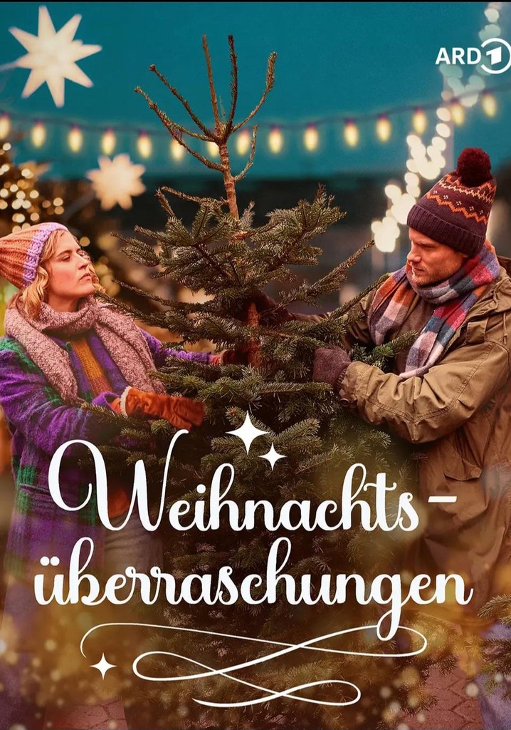 Weihnachtsüberraschungen poster