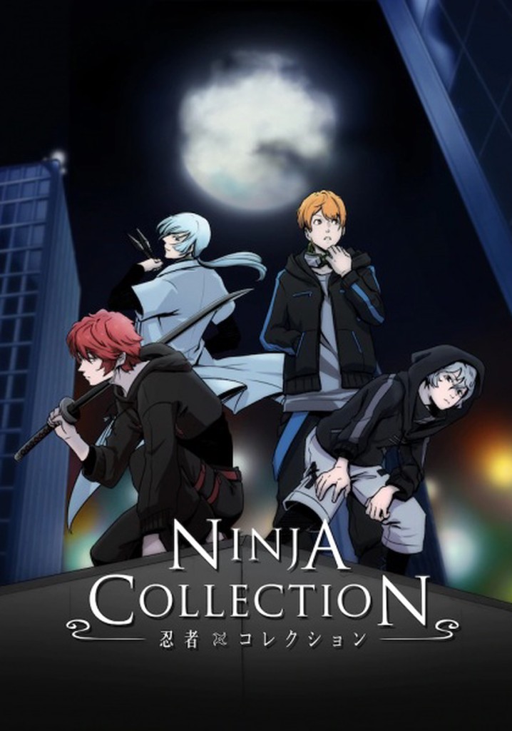 Ninja Collection poster