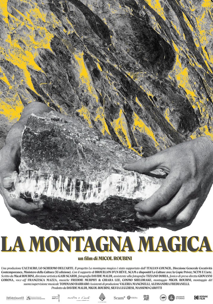 La montagna magica poster