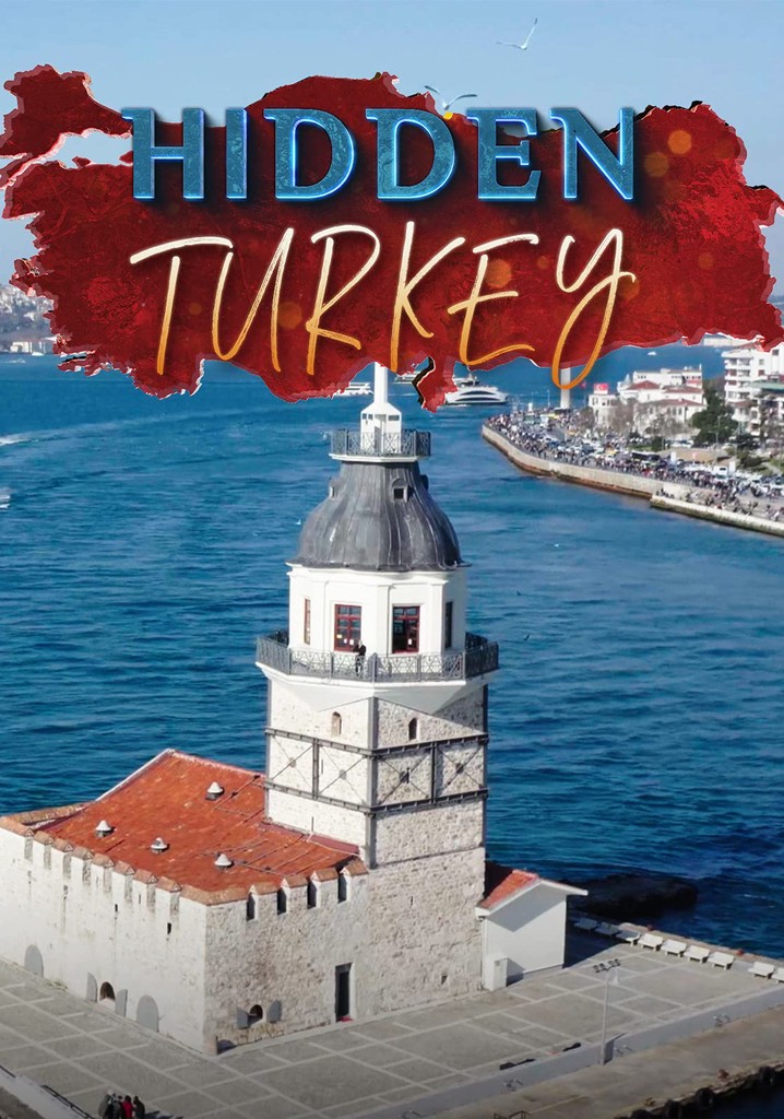 Hidden Turkey poster