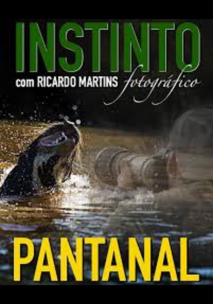 Instinto Fotográfico com Ricardo Martins poster
