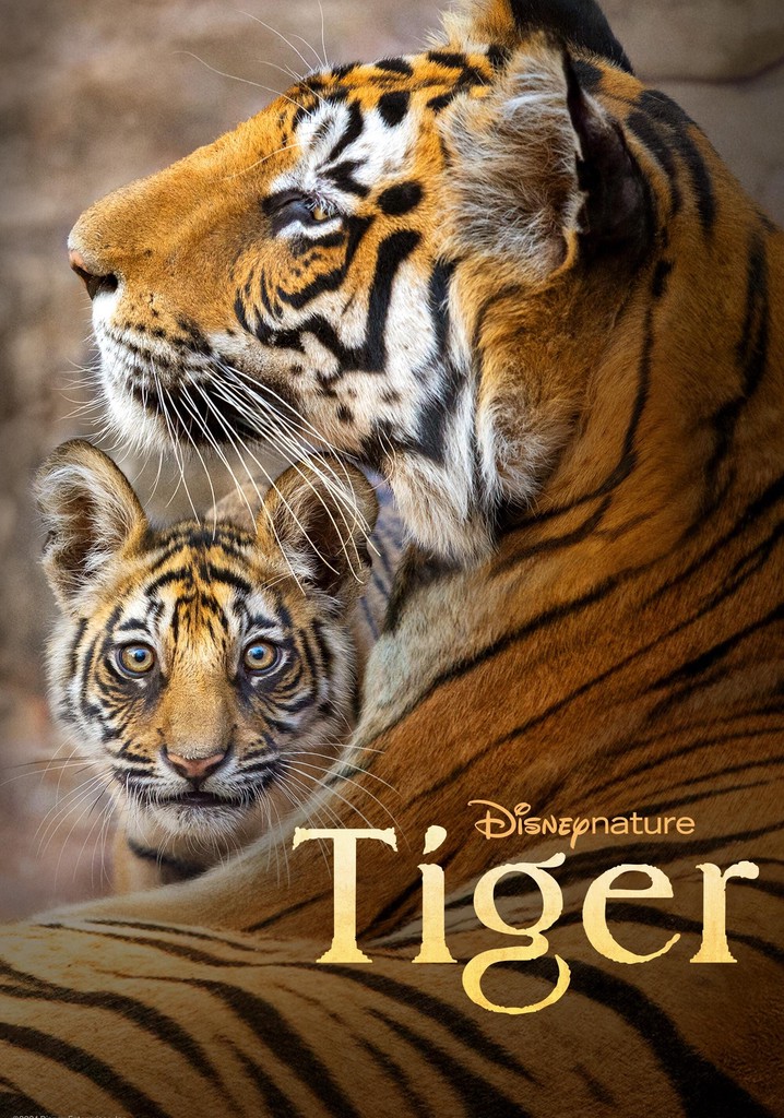 Tiger poster