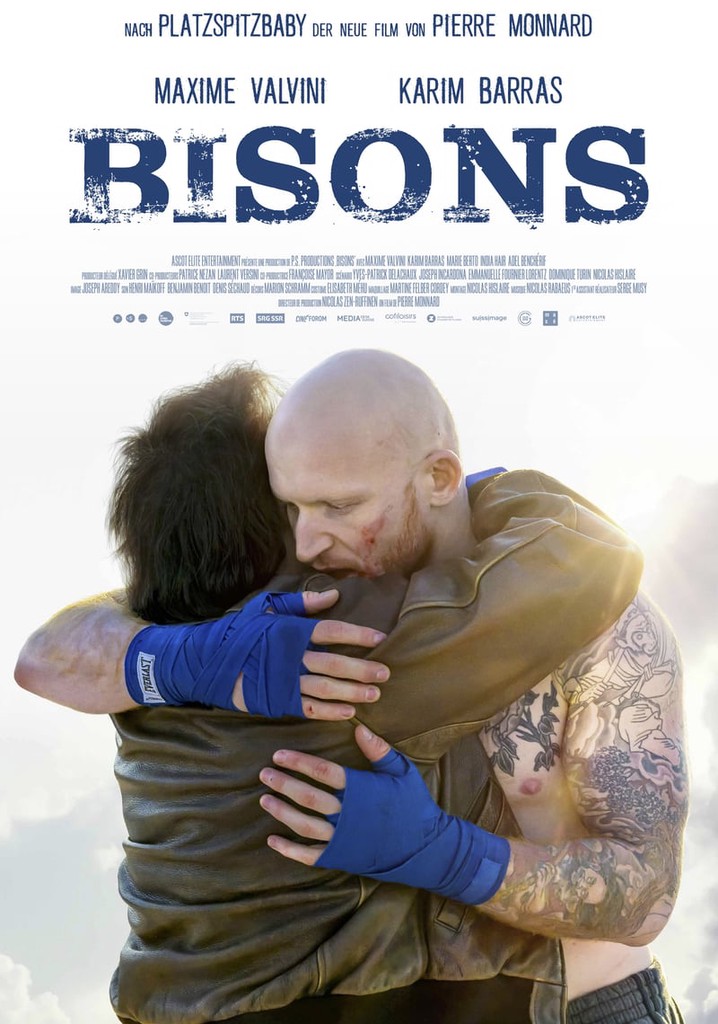 Bisons poster
