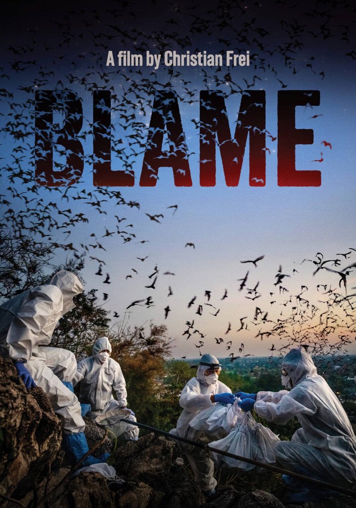Blame poster