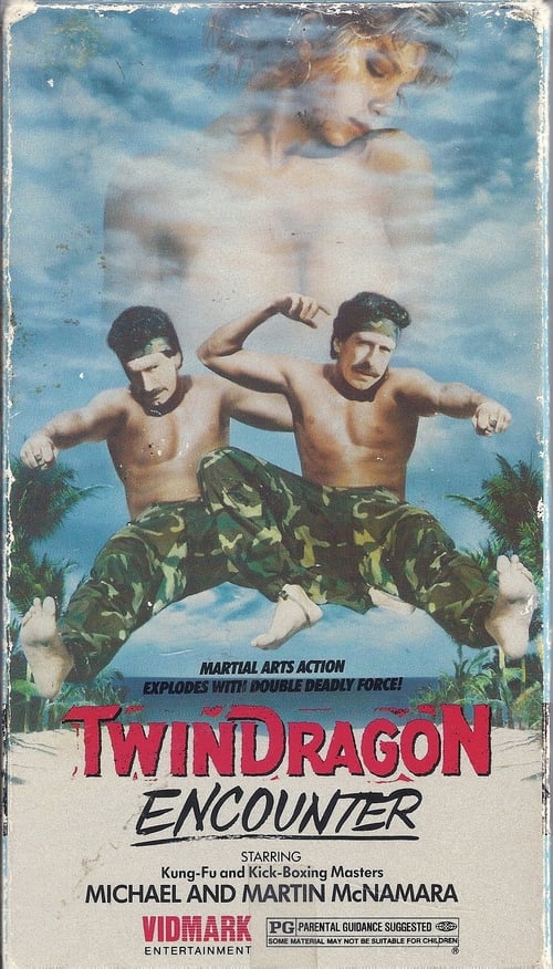 Twin Dragon Encounter poster