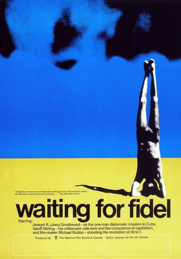 Waiting for Fidel poster