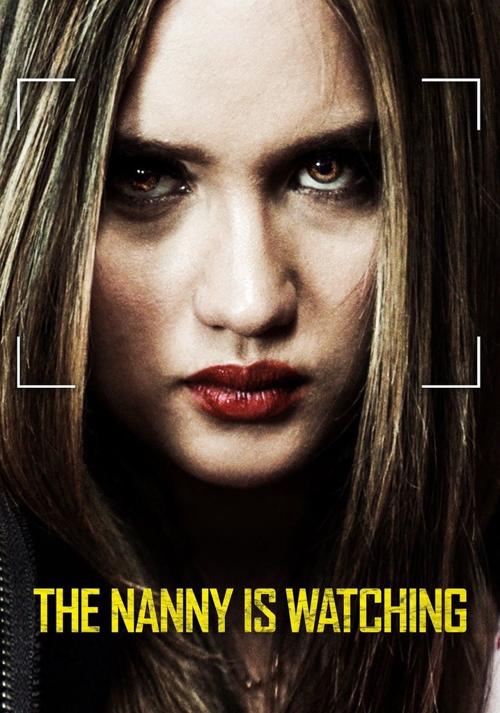 Nanny Surveillance poster