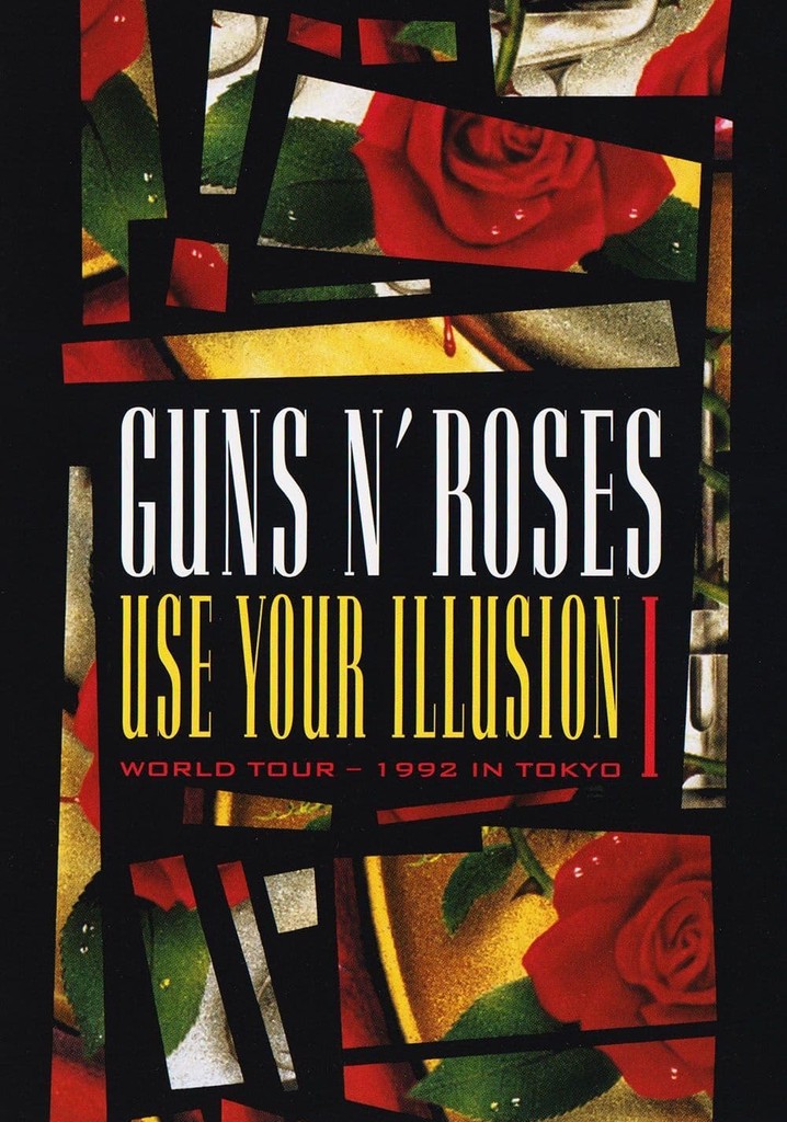 Guns N' Roses: Use Your Illusion I poster