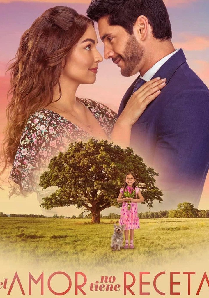 El amor no tiene receta poster