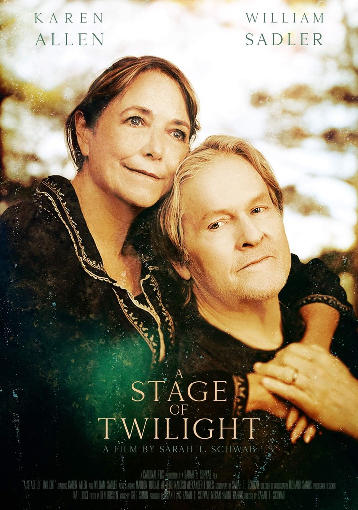 A Stage of Twilight poster