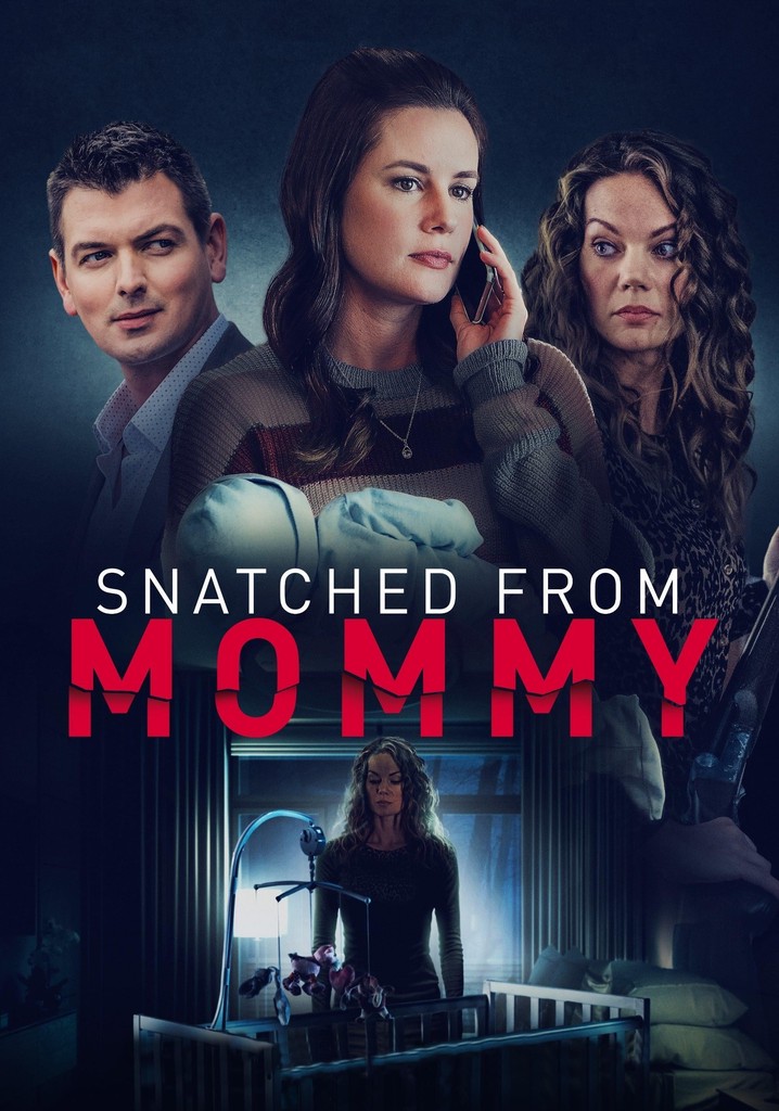 Snatched from Mommy poster