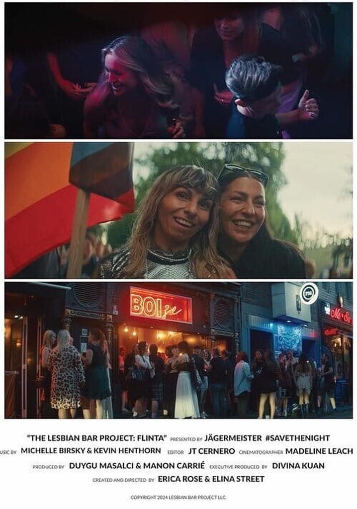 The Lesbian Bar Project poster
